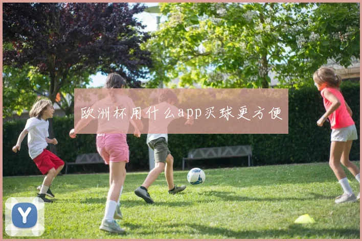 欧洲杯用什么app买球更方便