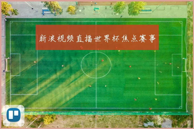 新浪视频直播世界杯焦点赛事
