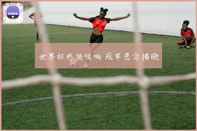 世界杯终场哨响 冠军悬念揭晓