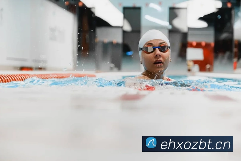 2018世界杯官网平台生态图